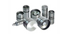 LIFTERS For GM/Satu 1.9/2.3/2.4/3.4/4.0/4.6L 16/24/32V DOHC (Northstar,Quad4), Year:87-02